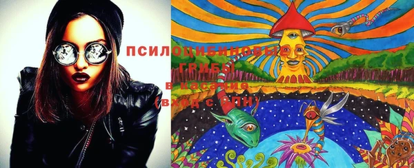 таблы Горнозаводск