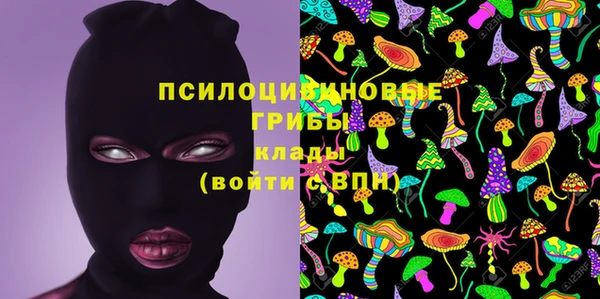 apvp Горняк