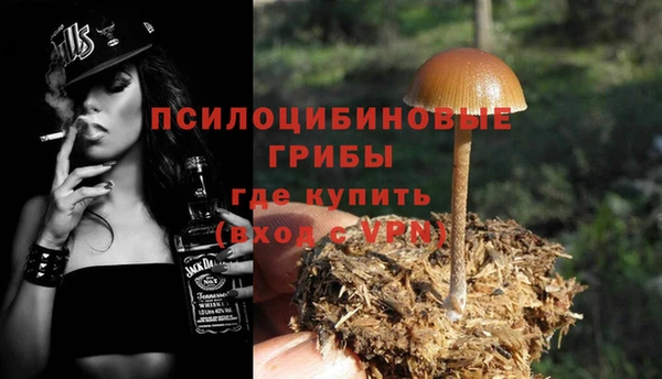 таблы Горнозаводск