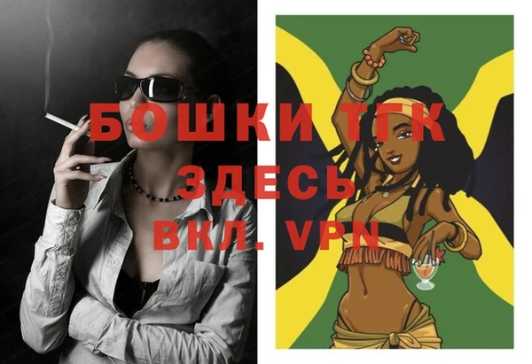 apvp Горняк