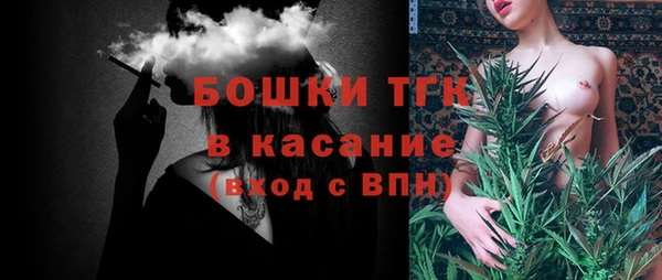 apvp Горняк