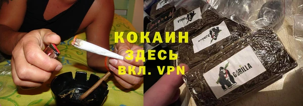 apvp Горняк