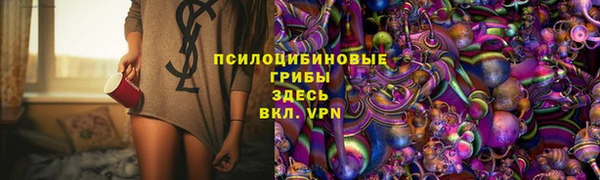 apvp Горняк