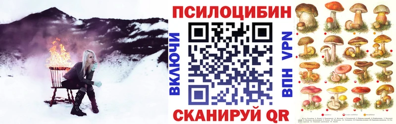 Псилоцибиновые грибы прущие грибы  цена   Белгород 